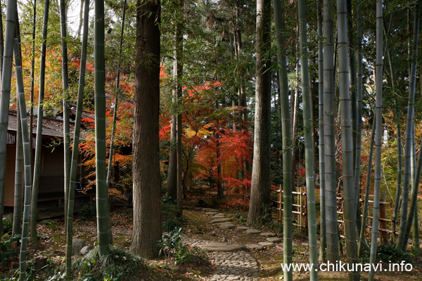 最勝寺の紅葉 [2022年12月2日撮影]