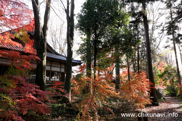 最勝寺の紅葉 [2022年12月2日撮影]