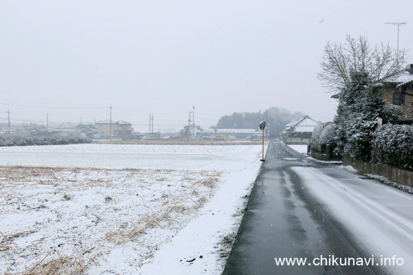 今季初めての積雪 [2023年2月10日撮影]