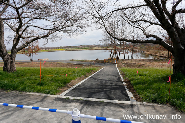 母子島遊水地の新しい遊歩道 [2023年3月21日撮影]