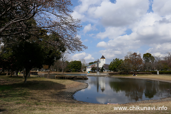 県西総合公園のさくら [2023年3月21日撮影]