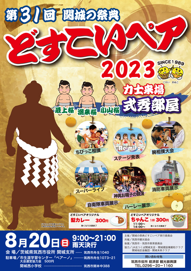 関城の祭典 どすこいペア