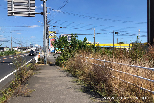 布川のヤマダデンキ近くの歩道 [2023年9月1日撮影]