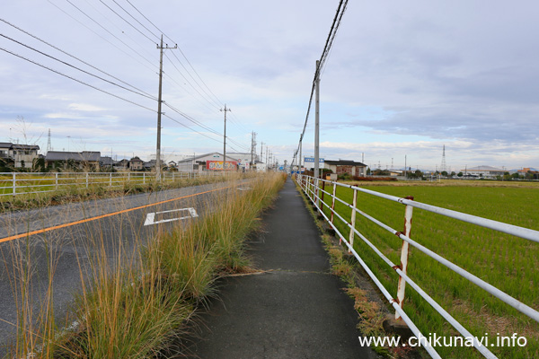 県道筑西三和線の一本松付近の歩道 [2023年10月29日撮影]