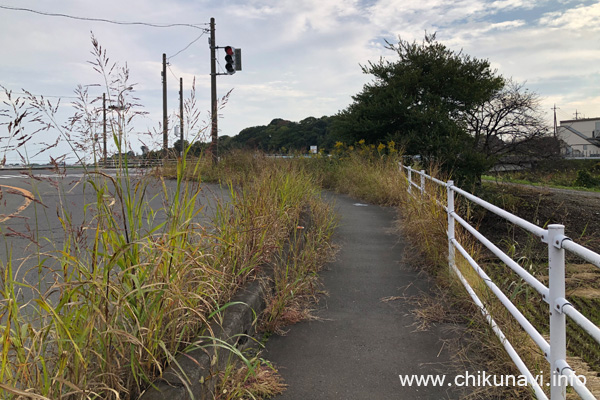 大谷川の野殿橋近くの歩道 [2023年10月31日撮影]