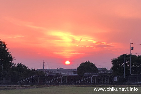 夕日 [2023年11月4日撮影]