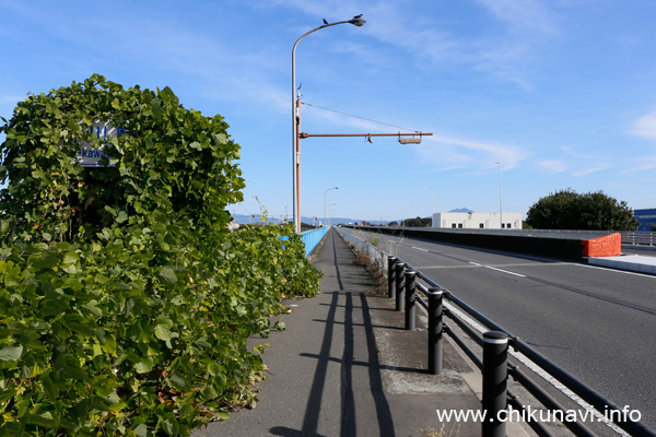 新川島橋近くの歩道 [2023年11月16日撮影]