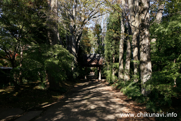 最勝寺の紅葉