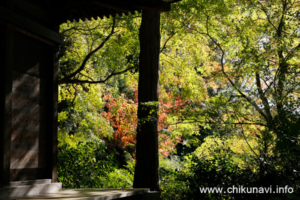 最勝寺の紅葉