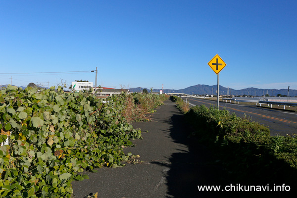 国道50号の歩道 [2023年11月24日撮影]