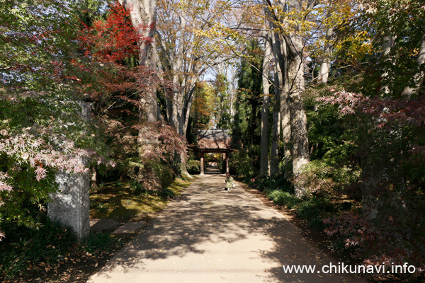 最勝寺の紅葉 [2023年11月24日撮影]