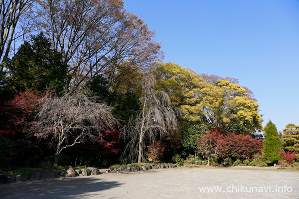 最勝寺の紅葉 [2023年11月24日撮影]