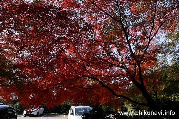 最勝寺の紅葉