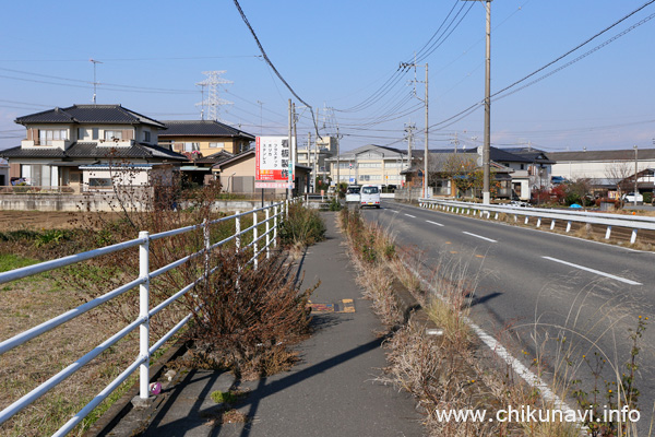 下館西中近くの歩道 [2023年11月24日撮影]