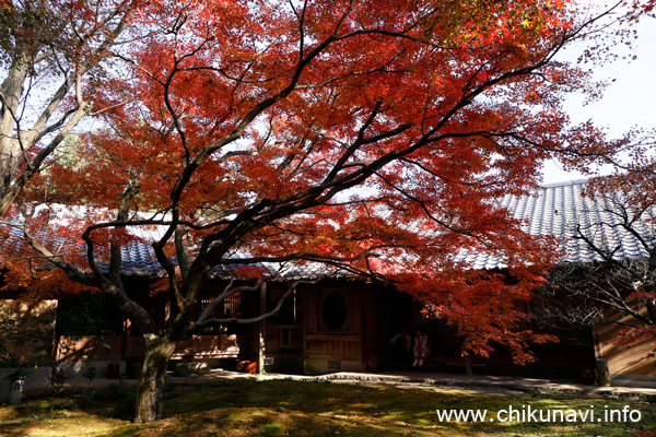 最勝寺の紅葉 [2023年11月28日撮影]