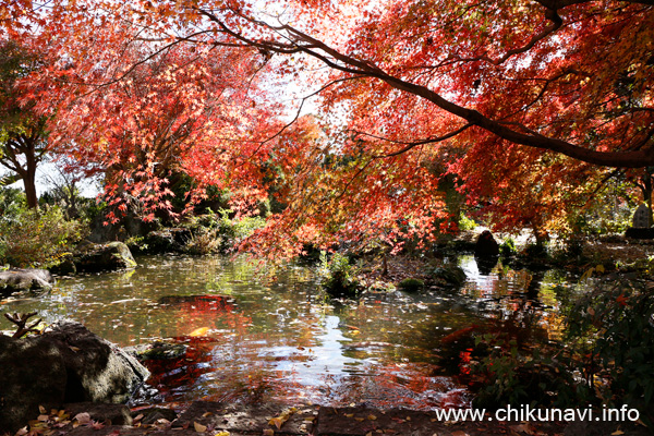 最勝寺の紅葉