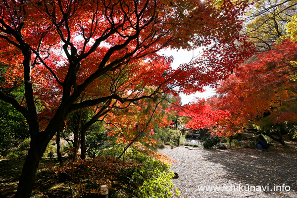 最勝寺の紅葉