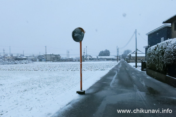 予想外の積雪 [2024年3月8日撮影]