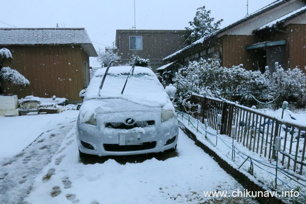 予想外の積雪 [2024年3月8日撮影]