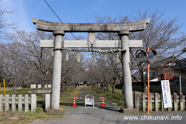 二所神社の桜 [2024年3月31日撮影]