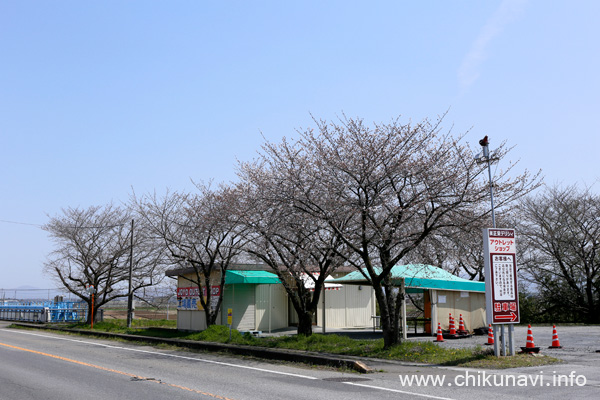 未開花～２分咲きだった正栄デリシィ駐車場の桜 [2024年4月2日撮影]