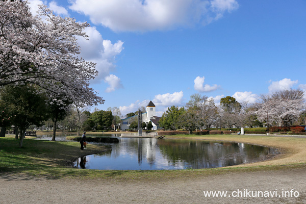 ６分咲き～満開になっていた県西総合公園の桜 [2024年4月7日撮影]