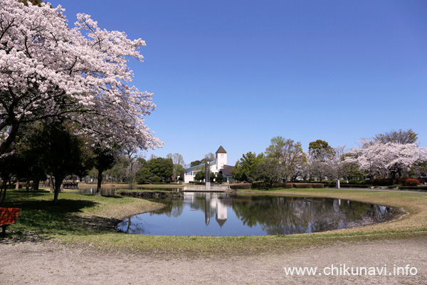 県西総合公園の桜 [2024年4月10日撮影]