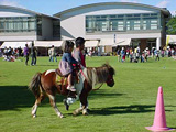 県西生涯学習センターフェスティバル