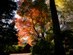 最勝寺の紅葉