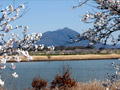 母子島遊水地