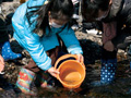鮭の稚魚放流