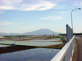 協和跨線橋からの田園風景