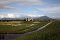 大雨の影響・川の増水