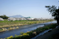 筑西市各地のさくら　勤行川 桜づつみ