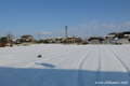 野殿・西方周辺の雪景色