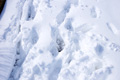 野殿・西方周辺の雪景色