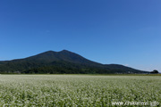 筑波山とそば畑