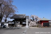 延命寺のしだれ桜