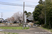 観音寺 (中館観音) のさくら