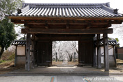 観音寺 (中館観音) のさくら