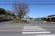 宮山ふるさとふれあい公園のさくら