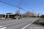 宮山ふるさとふれあい公園のさくら