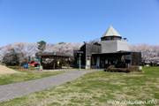 宮山ふるさとふれあい公園のさくら