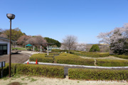 宮山ふるさとふれあい公園のさくら