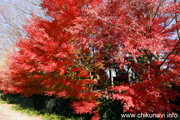 最勝寺の紅葉