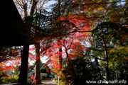 最勝寺の紅葉