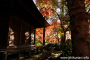 最勝寺の紅葉