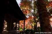 最勝寺の紅葉