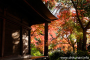 最勝寺の紅葉