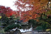 最勝寺の紅葉